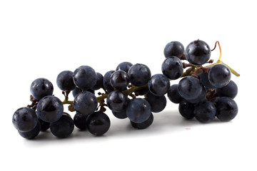 Black wine grape