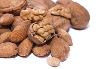 walnuts and hazelnuts isolated on white