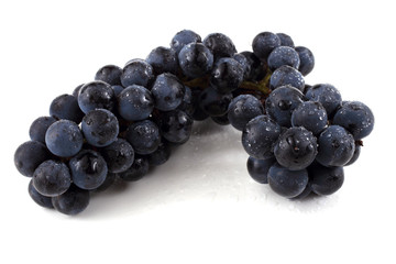 Black wine grape