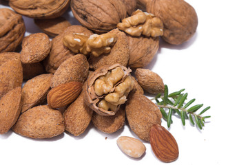 walnuts and hazelnuts isolated on white