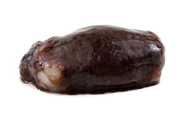 Sea cucumber (cucumaria)
