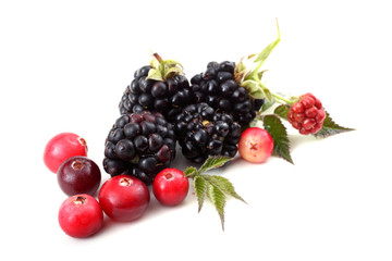 Blackberries and cranberries. Focuses and not focused.