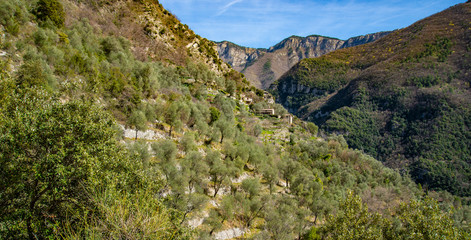 Breil sur Roya-Mercantour-Haut sentier de la Carleva