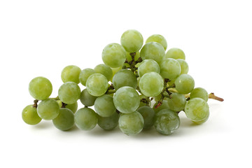Wine grape