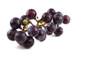 Wine black grape