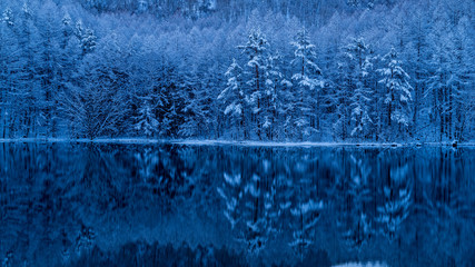御射鹿池　冬　夜明け前