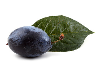 Blue plum with leaf