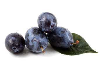 Blue plums with leaf