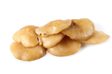 Yellow oyster mushrooms.