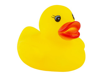Yellow rubber duck isolated on white background.