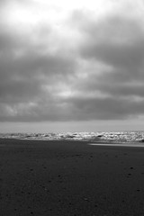 Spring Mood on Sylt Isand