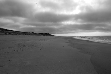 Spring Mood on Sylt Isand