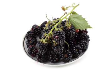 Blackberries on dish