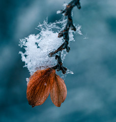 Ice in winter