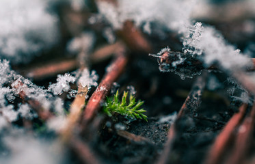 Ice in winter