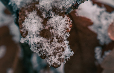 Ice in winter
