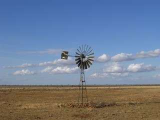 Africas wildlive and landscapes