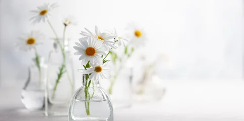 Foto op Aluminium Beautiful daisy flowers in glass vases on light background. Floral composition in home interior. © Svetlana Kolpakova