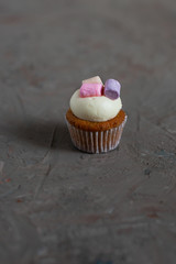 Tasty mini cupcakes on concrete background. Copy space. 