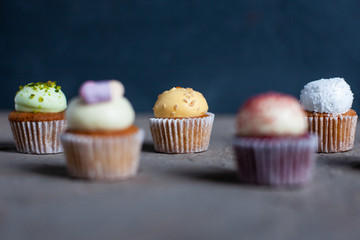 Tasty mini cupcakes on concrete background. Copy space. 