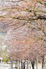 I am looking forward to warmer weather