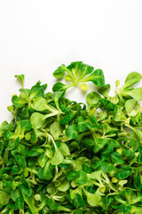 Mash salad on white background.