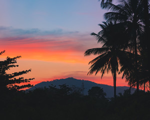 Fototapeta na wymiar Spectacular sunset over palm trees 