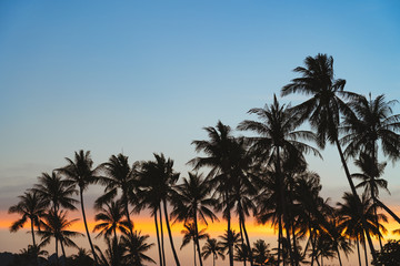 Obraz na płótnie Canvas Spectacular sunset over palm trees 