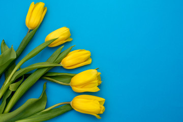 Yellow tulips flowers on a blue background. Waiting for spring. Happy Easter card. Flat lay, top view. Copy space for text