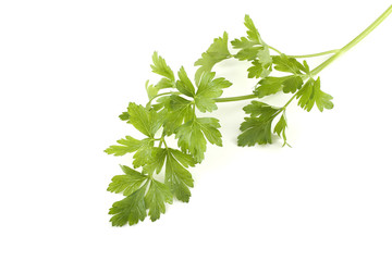 Parsley leaf