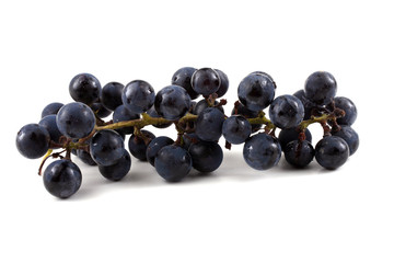 Black wine grape