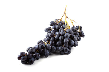 Cluster of black grape