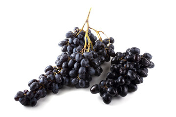 Cluster of black grape