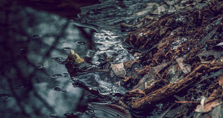 Winter sunrise on river