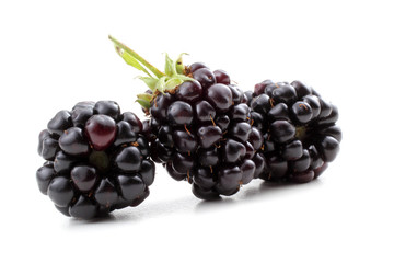Three blackberries