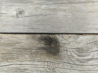 wood background