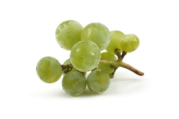 White wine grape