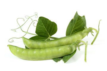 Pea and leaves