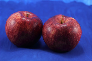 Two gala apples on blue background