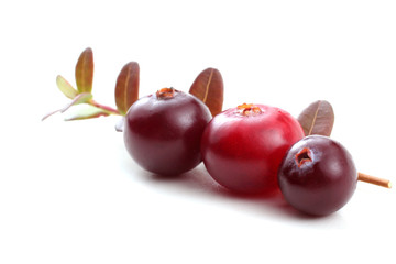 Cranberries and leaves