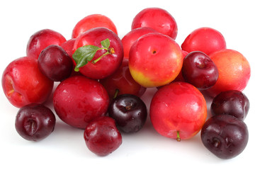 Naklejka na ściany i meble Wet plums and cherries