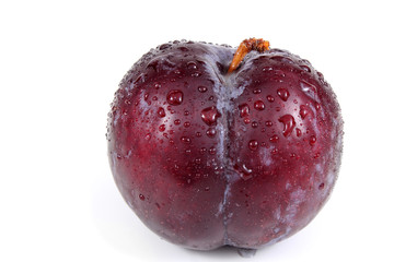 Wet plum