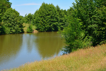 The forest lake is surrounded by trees