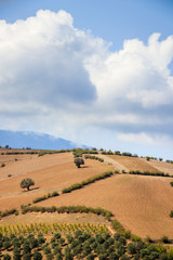 Panoramic landscape of mountains and clouds and lovely field at foreground.