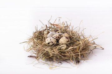 nest with quail eggs on white wooden background