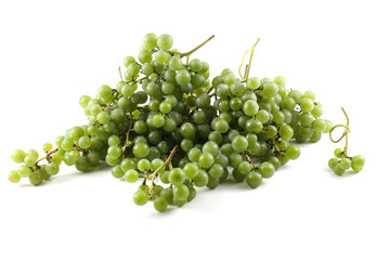 White wine grape