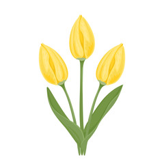 Bouquet of yellow tulips isolated on  white background. Vector spring flowers with green leaves and stems. Cartoon festive illustration in cartoon flat style. Design element for greeting card, banner.