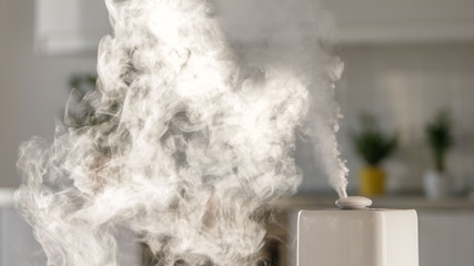 Close up of aroma oil diffuser on the table at home, steam from the air humidifier, houseplant in...