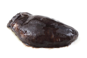 Sea cucumbers (cucumaria)