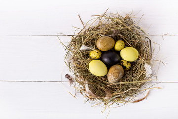 nest with colored easter eggs on white wooden background